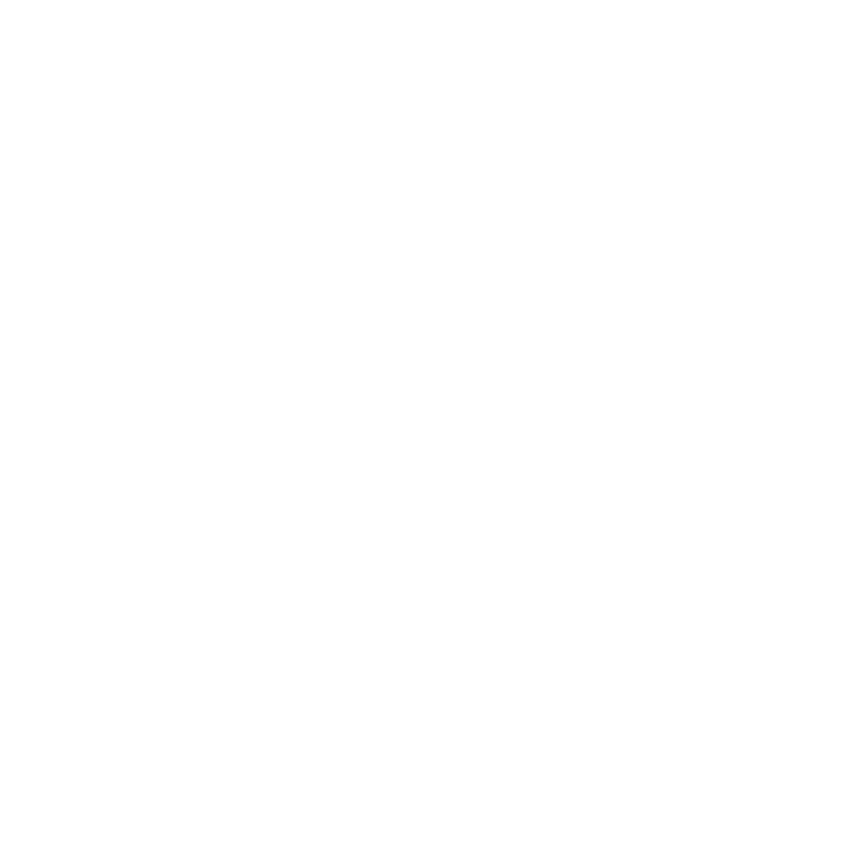 LM Visuals Logo